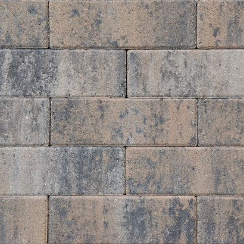 Longstone 31,5x10,5x7cm - Musselkalk - Kijlstra Longstone 31,5x10,5x7cm - Musselkalk - Kijlstra