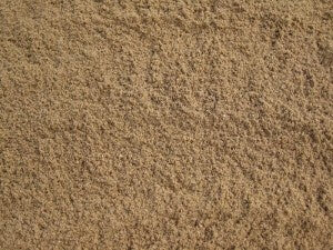 Zand & Grind