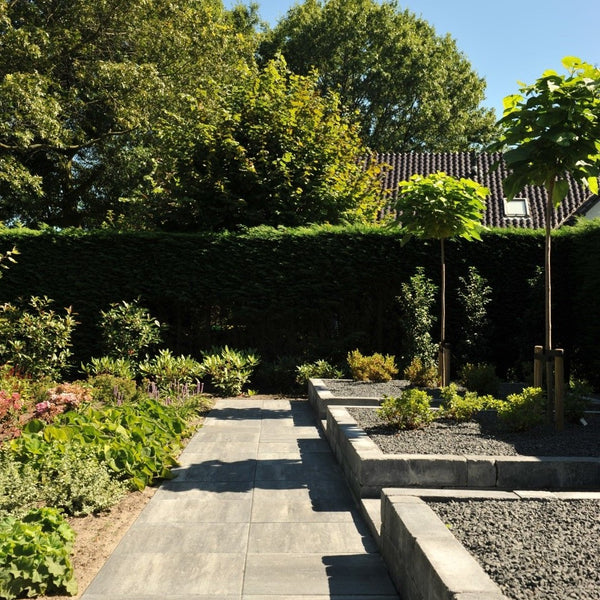 Excluton - Terrastegel+ - 60x60x4 cm - Grezzo