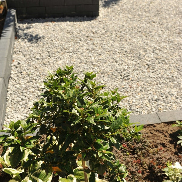 Big Bag - Arctic Blue 16-25 mm 1000 Kg - Excluton