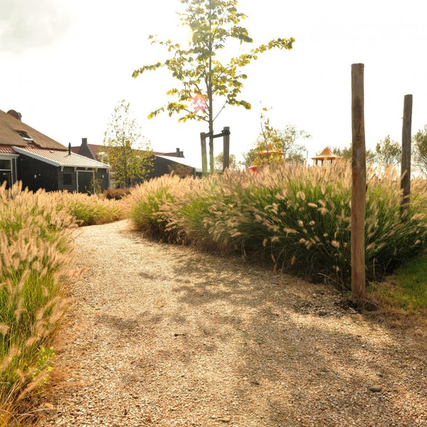 Schelpen Bruin Wit 8-16 mm - Excluton