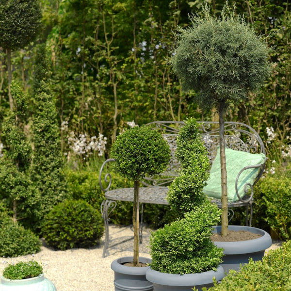 Yellow Sun Split Geel 6-10 mm 1000 Kg - Excluton