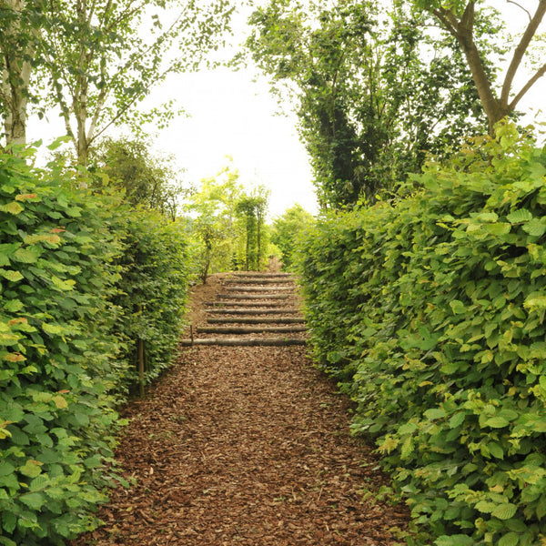 Franse Boomschors Bruin 1000 Liter - Excluton