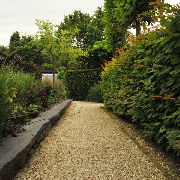 Morane split 1-3 mm 25 Kg - Excluton