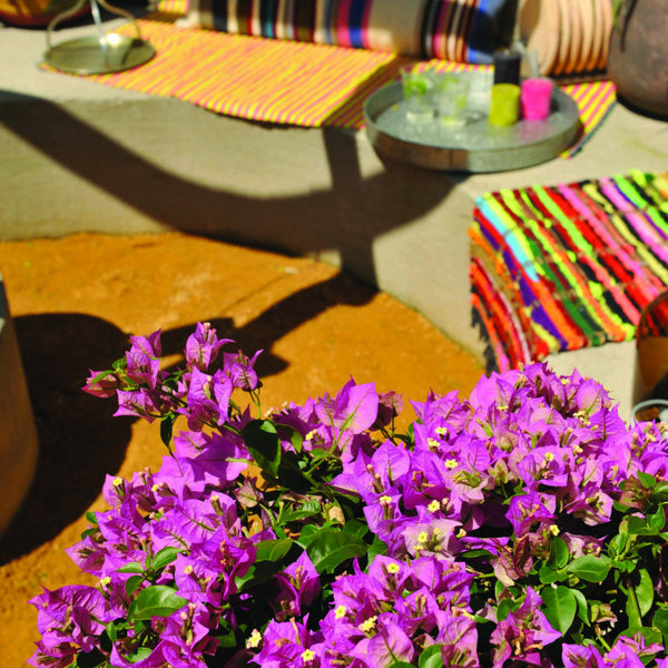 Gravier d'Or/Jaumont Geel Bruin 0-8 mm 1000 Kg - Excluton