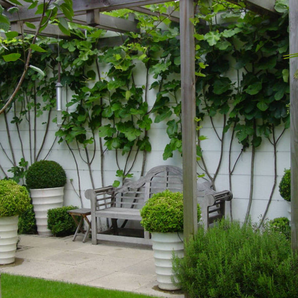 Excluton - Soft Comfort - 60x60x4cm - Ivory