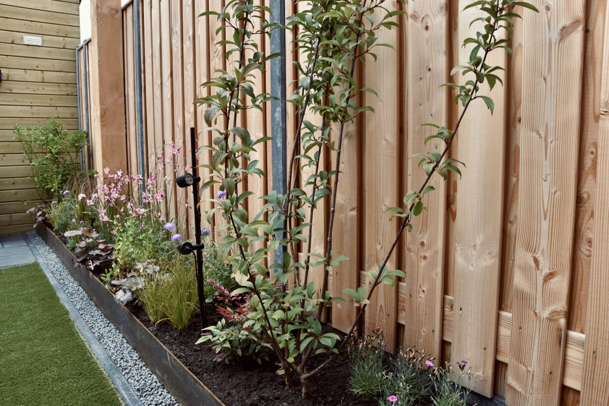 Excluton - Opsluitbanden - 8x20x100 cm - Grijs