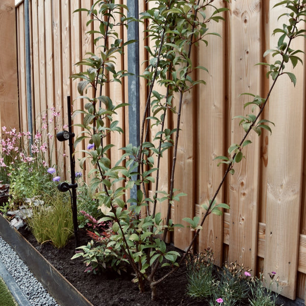 Excluton - Opsluitbanden - 8x20x100 cm - Grijs