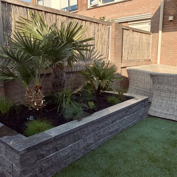 Excluton - Vijverrand Siam Bluestone Verzoet - 100x15x3 cm - Blauwsteen