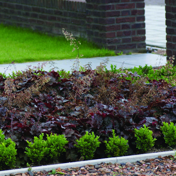 Excluton - Opsluitbanden - 5x15x100 cm - Grijs