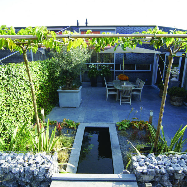 Excluton - Vijverrand Siam Bluestone Verzoet - 100x25x3 cm - Blauwsteen