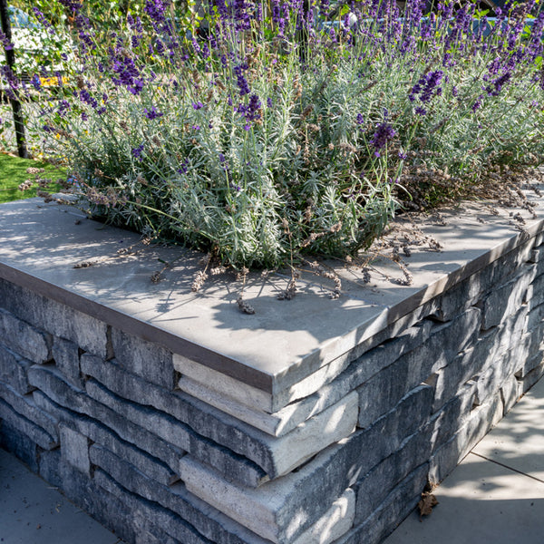 Excluton - Vijverrand Siam Bluestone Verzoet - 100x25x3 cm - Blauwsteen