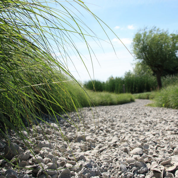 Schelpen Bruin Wit 8-16mm 17 Ltr - Excluton