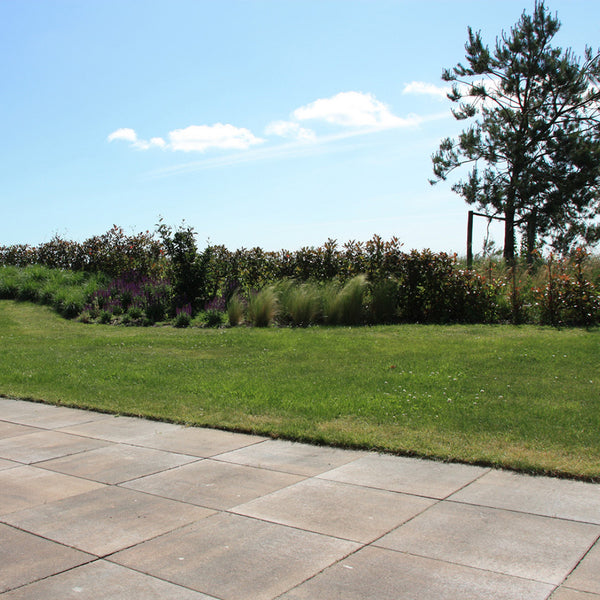 Excluton - Terrastegel+ - 60x60x4 cm - Summer