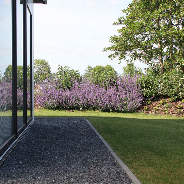 Excluton - Opsluitbanden - 5x15x100 cm - Grijs