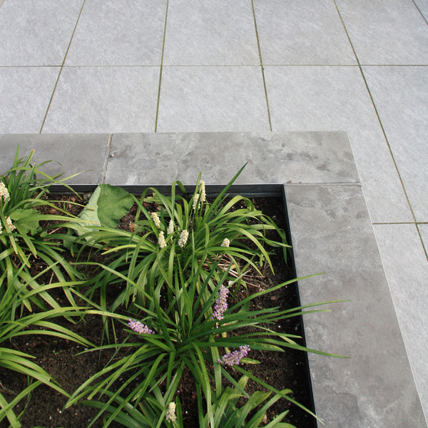 Excluton - Vijverrand Siam Bluestone Verzoet - 100x20x3 cm - Blauwsteen