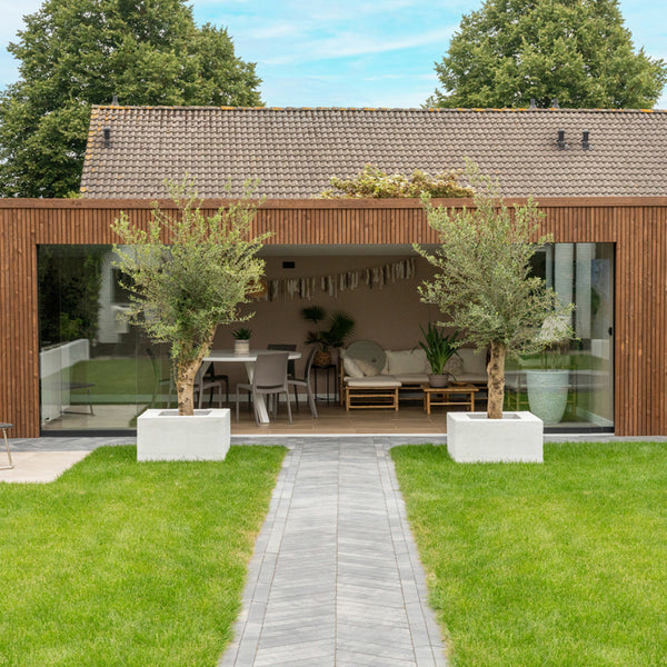 Excluton - Romano punto - 40x8x8cm - Grezzo