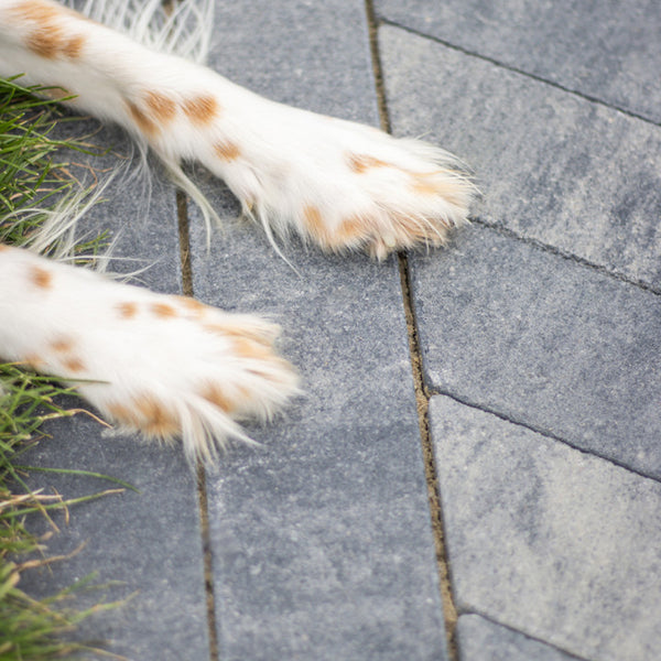 Excluton - Romano punto - 40x8x8cm - Grezzo