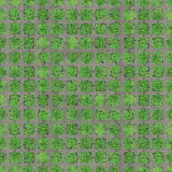 Excluton - Aqua drain tile - 30x30x8cm - Gris