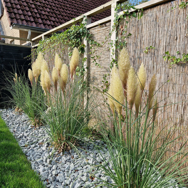 Ardenner brokjes grijs 20-32mm, zak 20 kg - Kijlstra