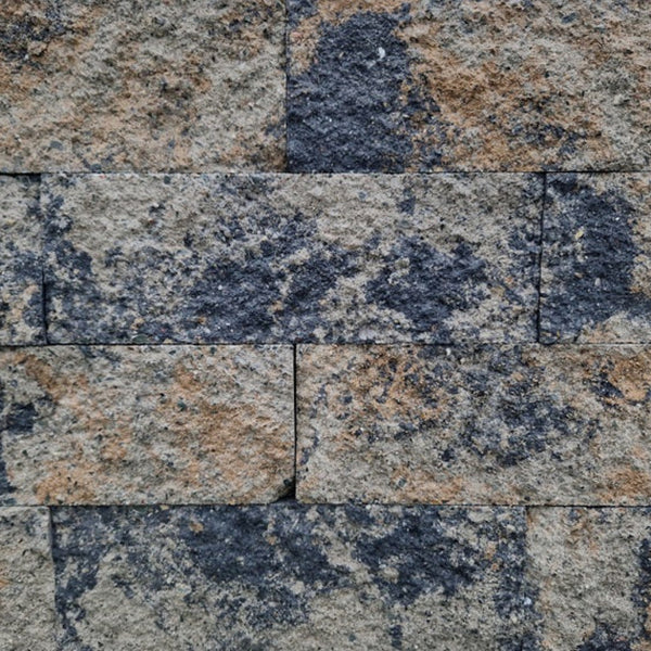 Splitrock 32x13x11 cm -  Musselkalk 2.0  - Kijlstra