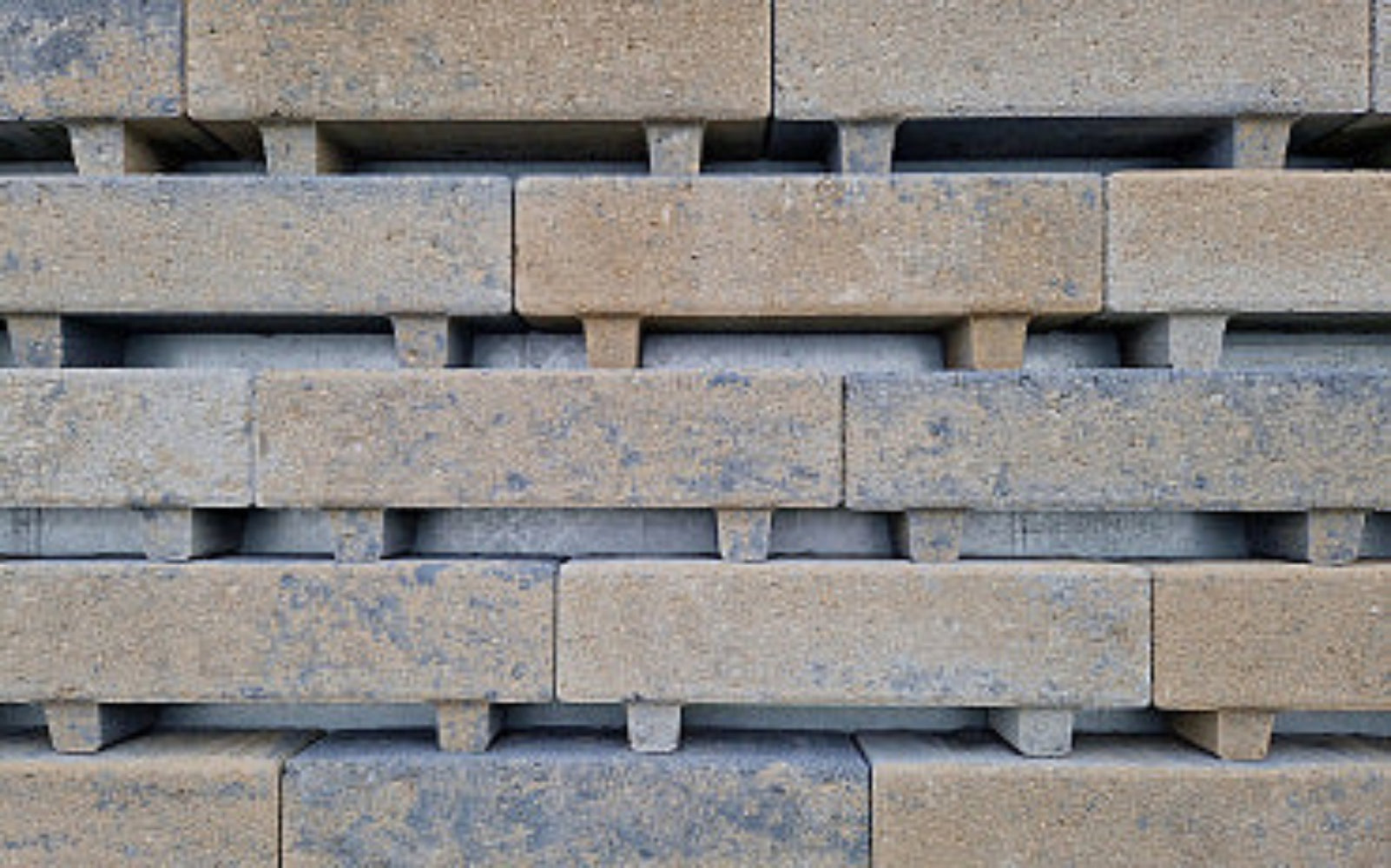 Waterpasserende Longstone 31,5x10,5x7cm Waterwijs - Musselkalk - Kijlstra