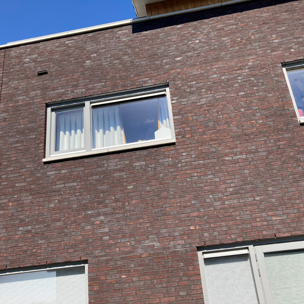 Wienerberger Pollux Handvorm Waalformaat