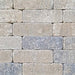 antieke-trommel-longstone-7-cm-musselkalk