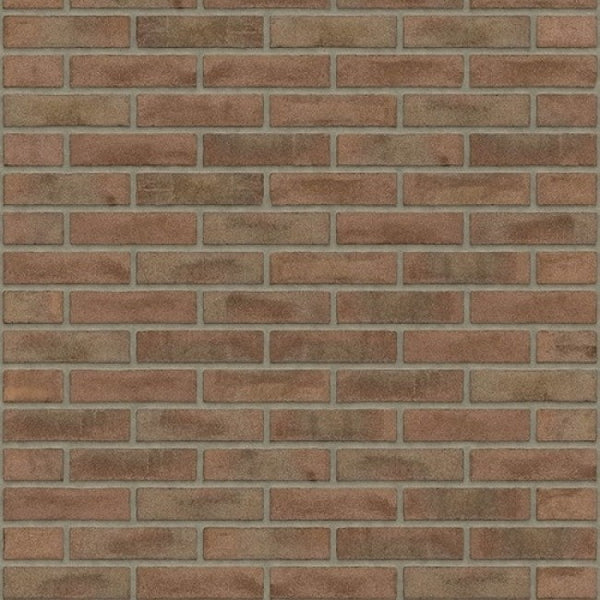 wf_vb_maasbruinreno_500x500_2_1
